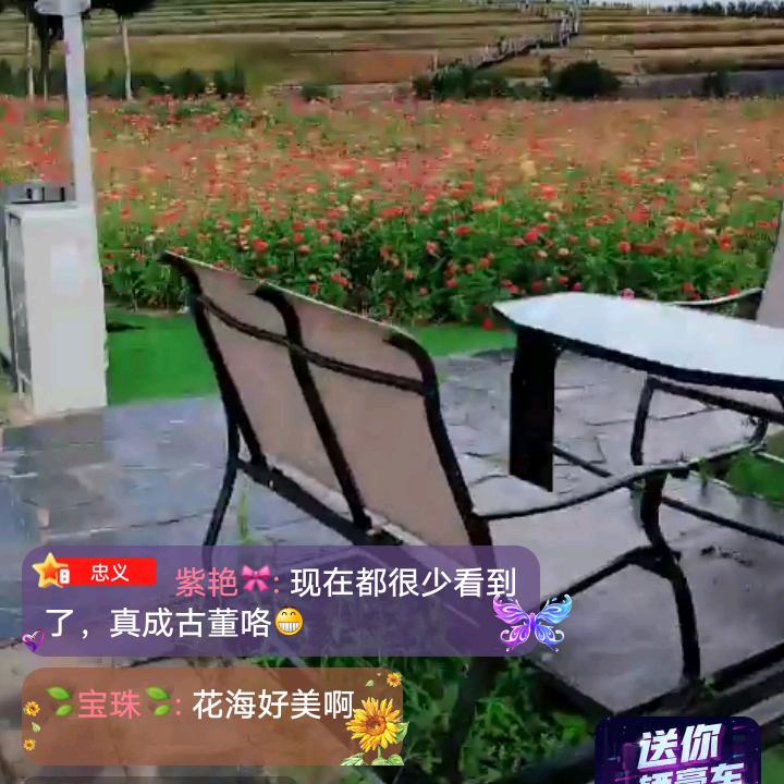啧啧啧