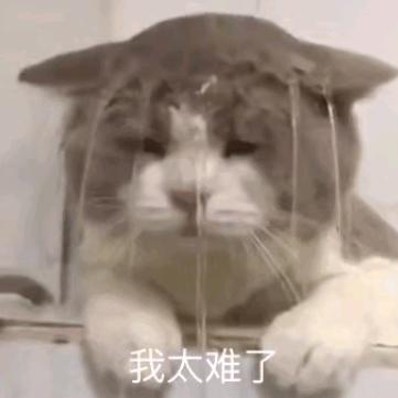 看我划雪滑呀滑