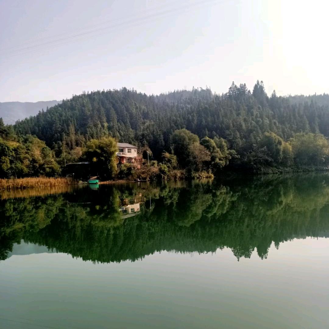 情又如冬