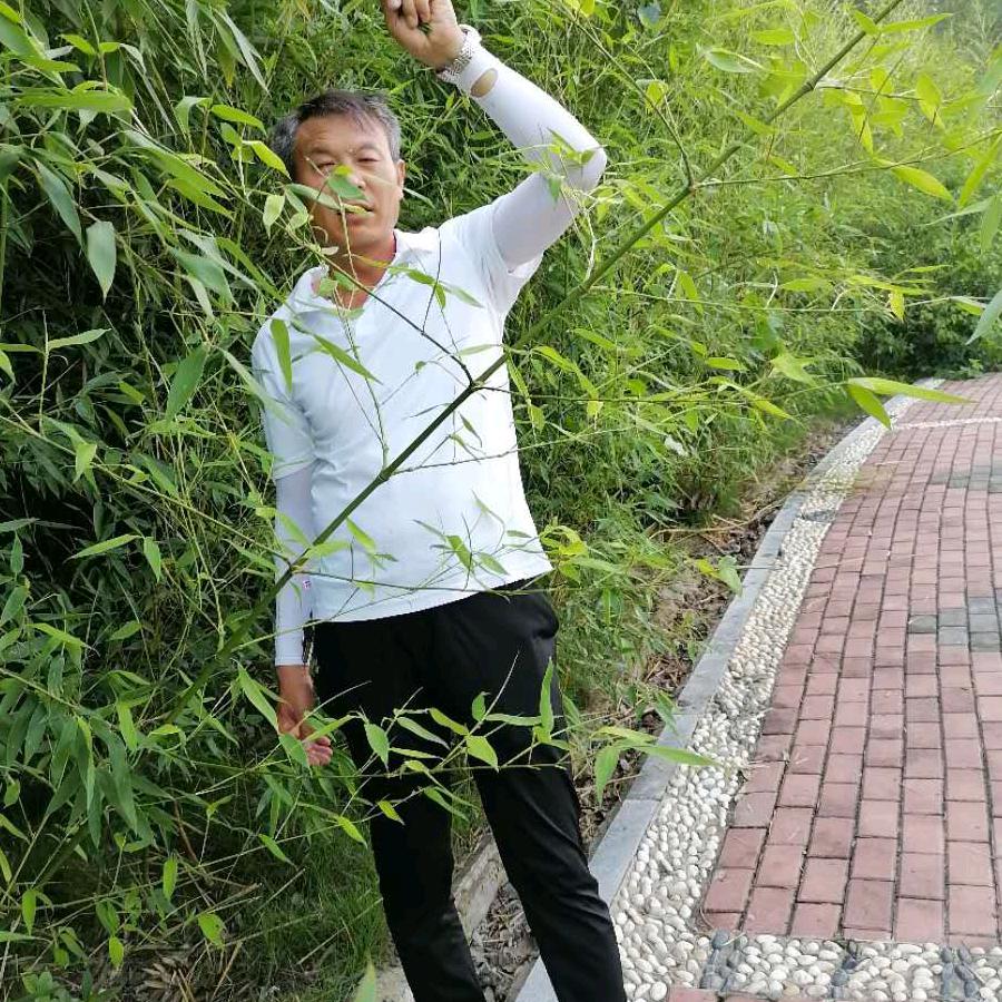 追梦