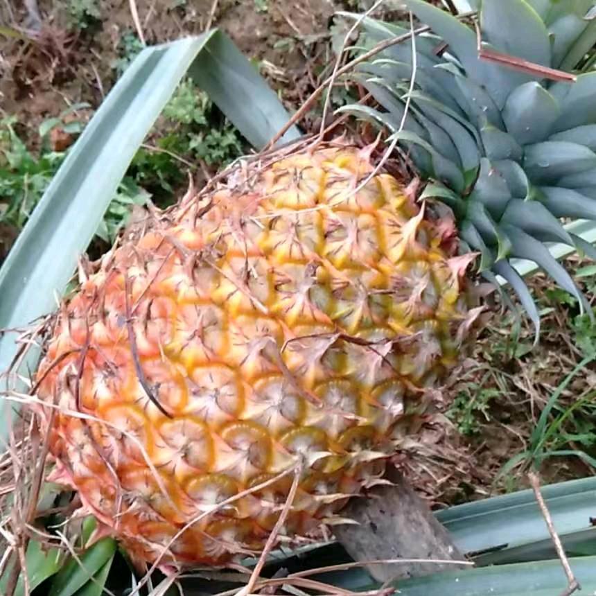 曾几何时