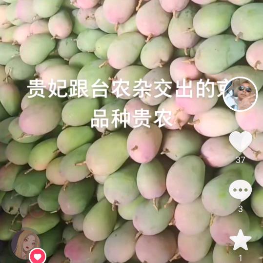 强哥    代收果蔬