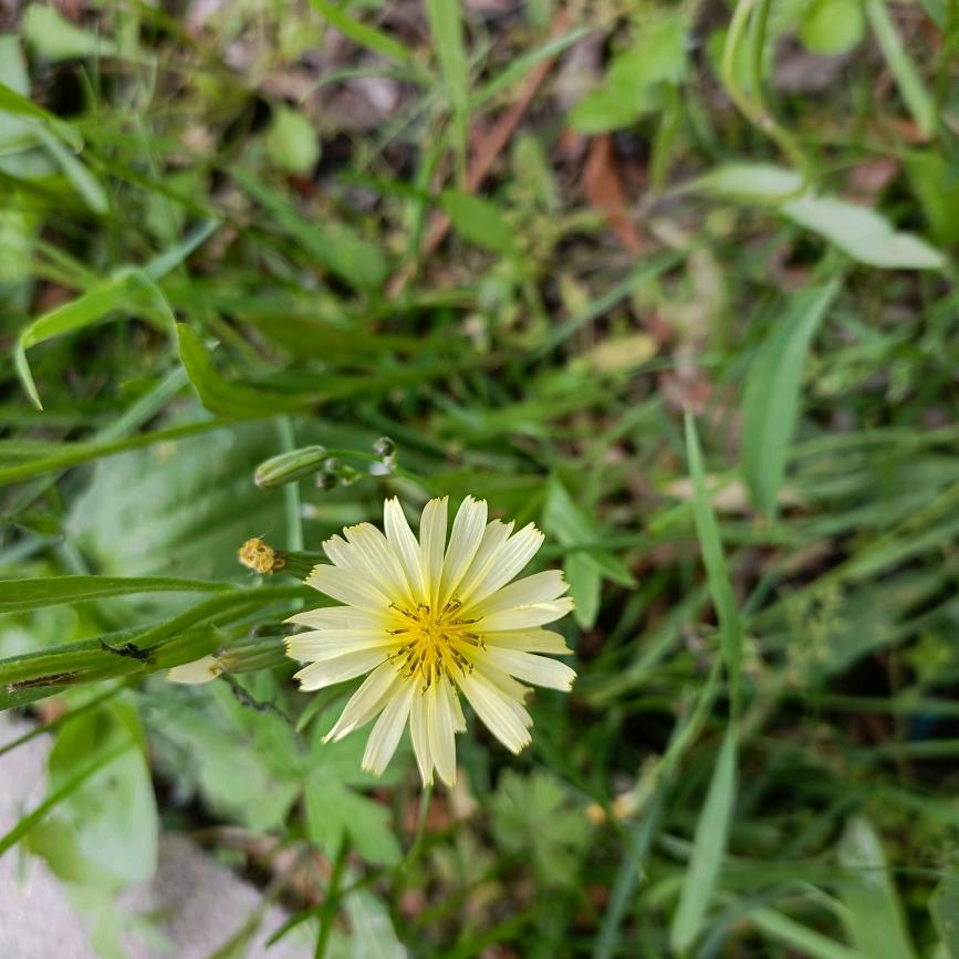 “童晟智教鸿城幼儿园”于老师