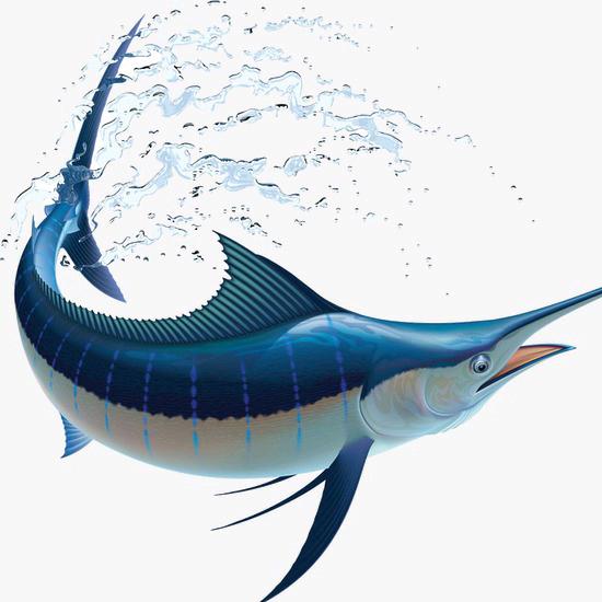 金瑞茁跃体育培训《景乂泳術研习班》小灵山