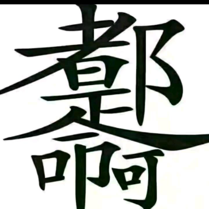 白天不懂夜里黑