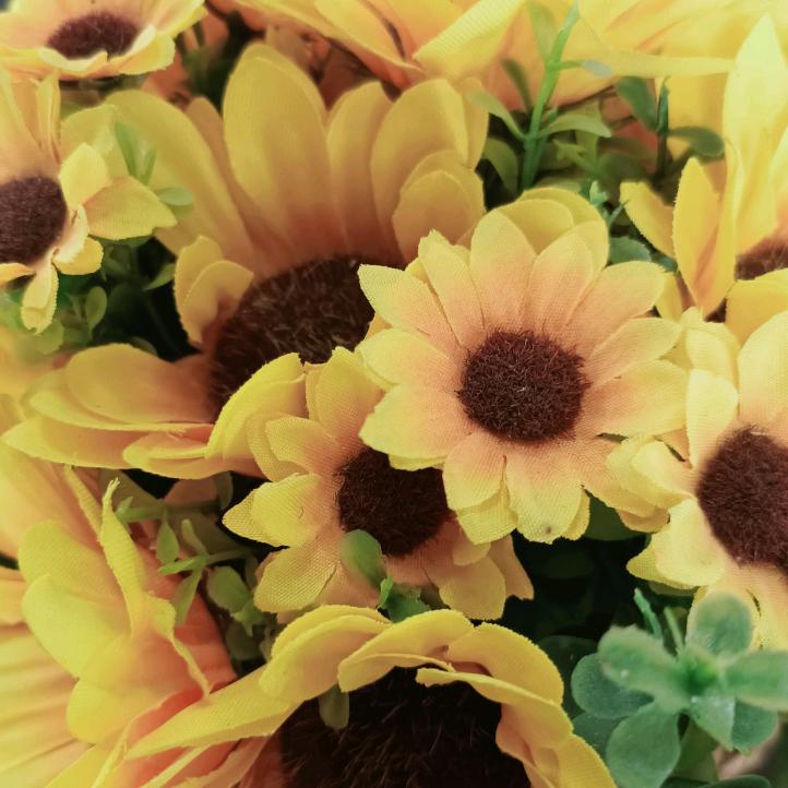 ╭(╯局外人╰)╮