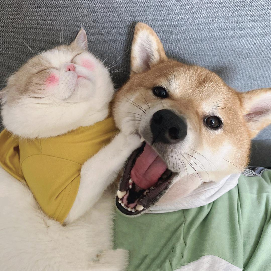 家有俩宝😘