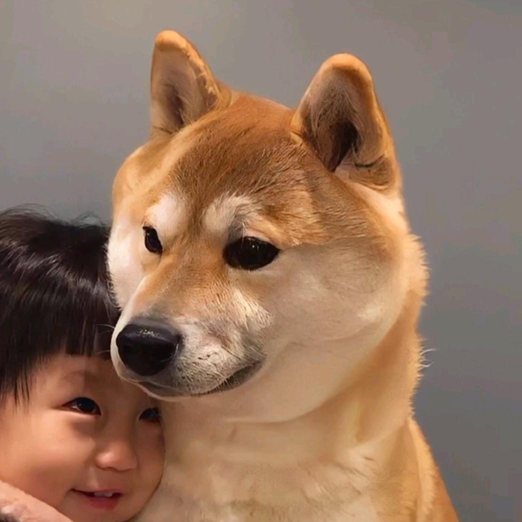 豫