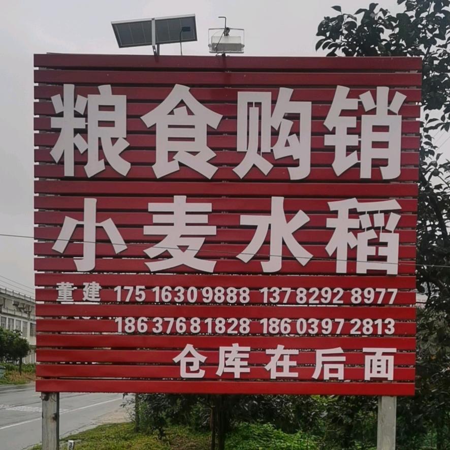 董建