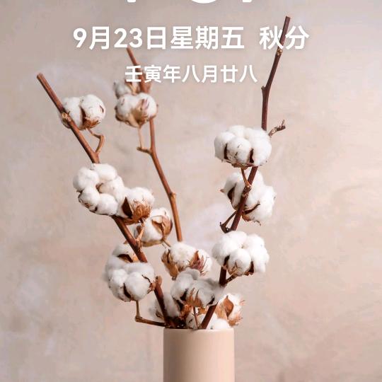贝贝