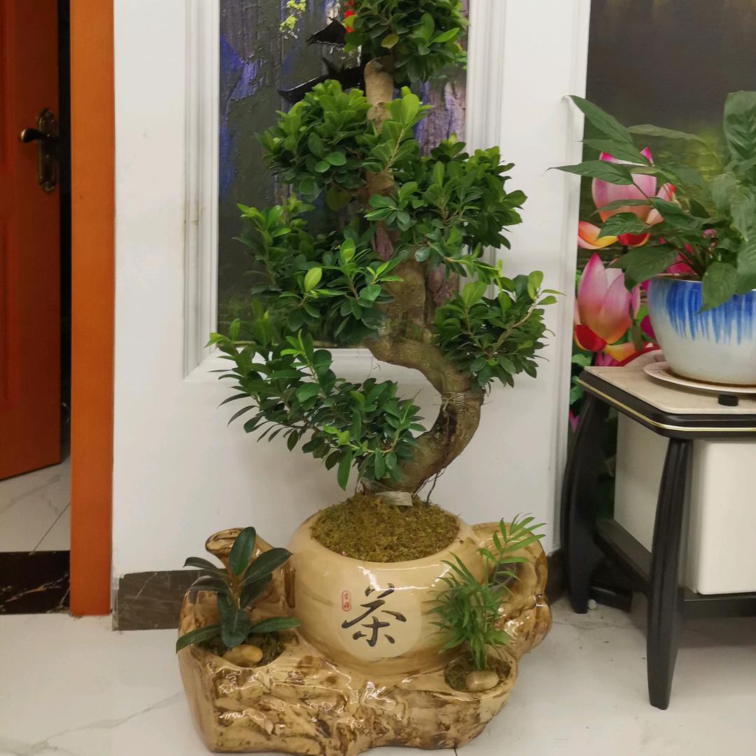 🥀ঞ凤舞₅₂₀吟欢💞࿐