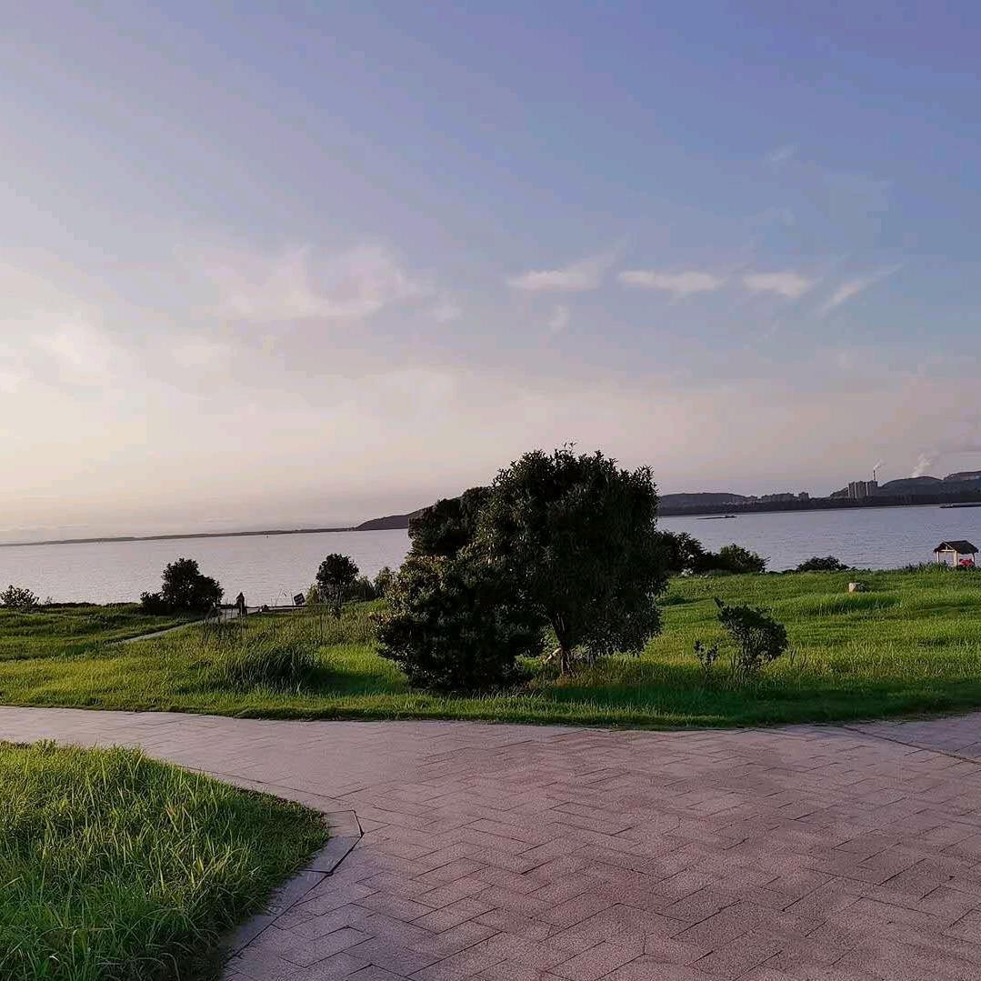 夏日阳光♥