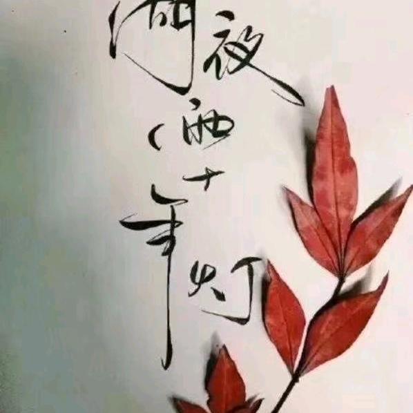 鑫辉科技-侨帮主