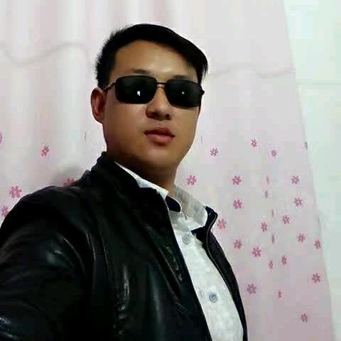 六枝蜂子（胡蜂专业养殖）