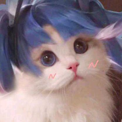 茜茜公主
