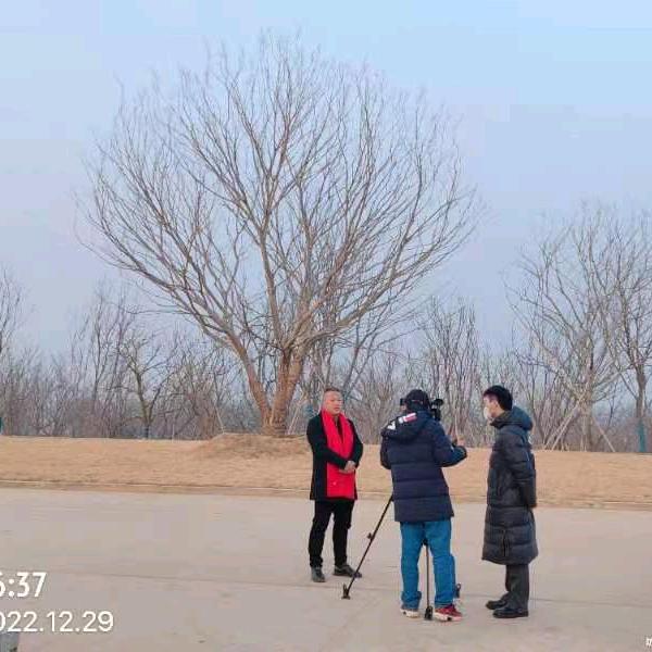 大龙（陈国龙万棵朴树基地）
