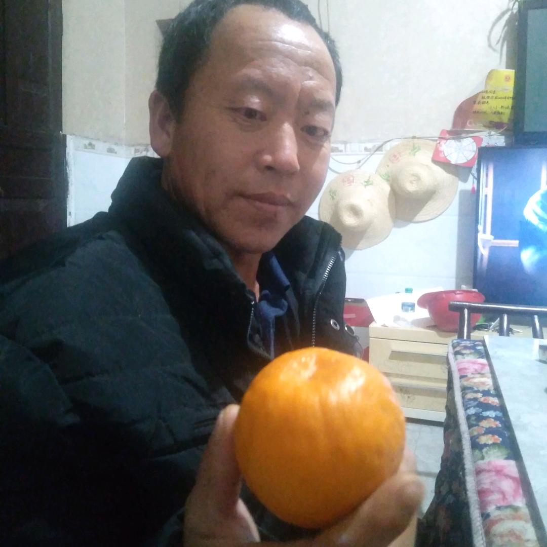 向老四