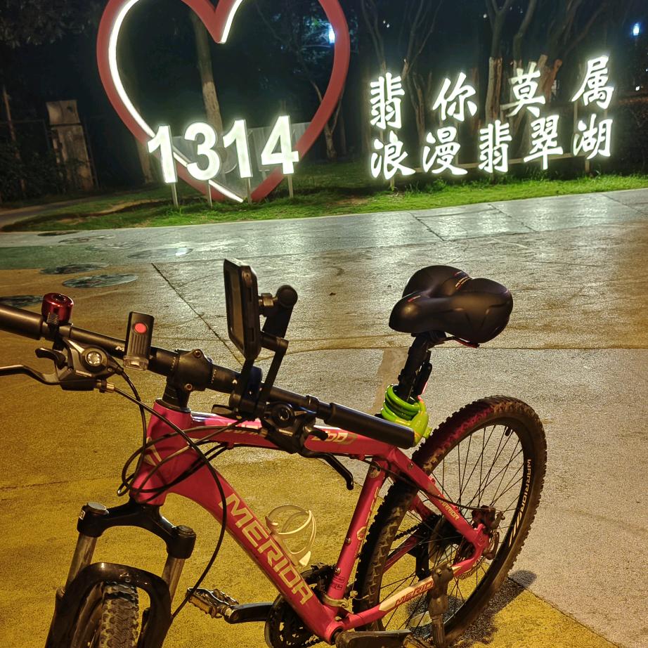 小马过河