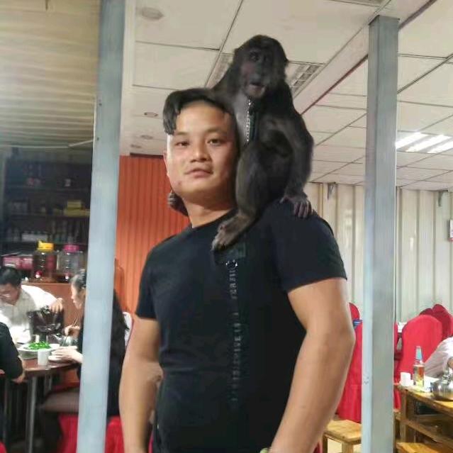 老绍