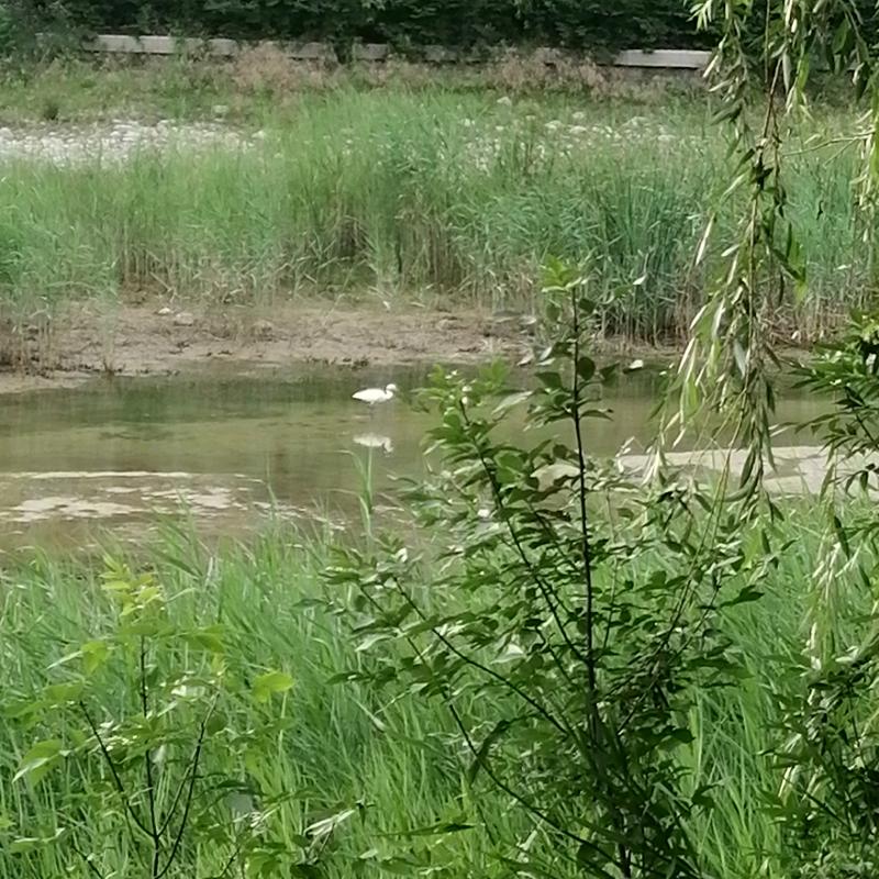 (❁´◡`❁)南涵