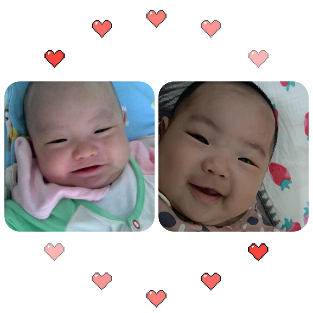 🌹🌹微笑🌹🌹自学成裁