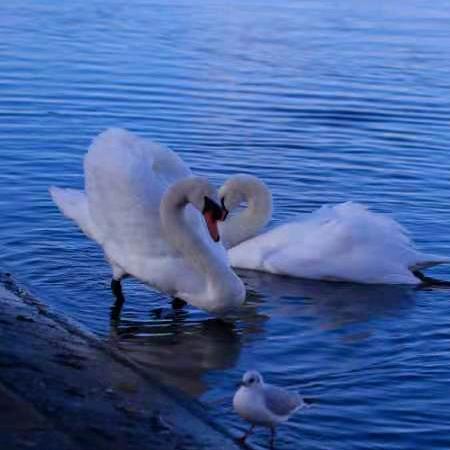 幸福的虎😺郝726