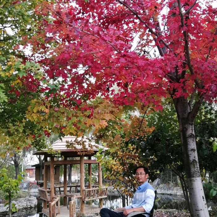 寻山问水