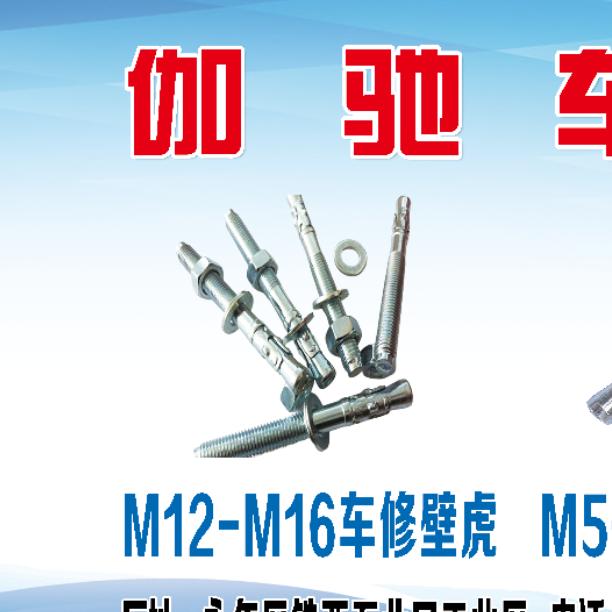 伽驰车修壁虎