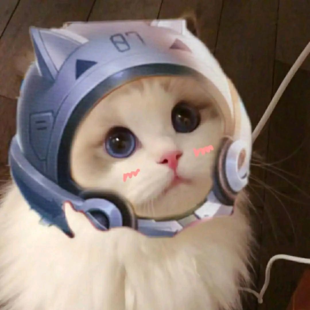 不出腹肌不换网名