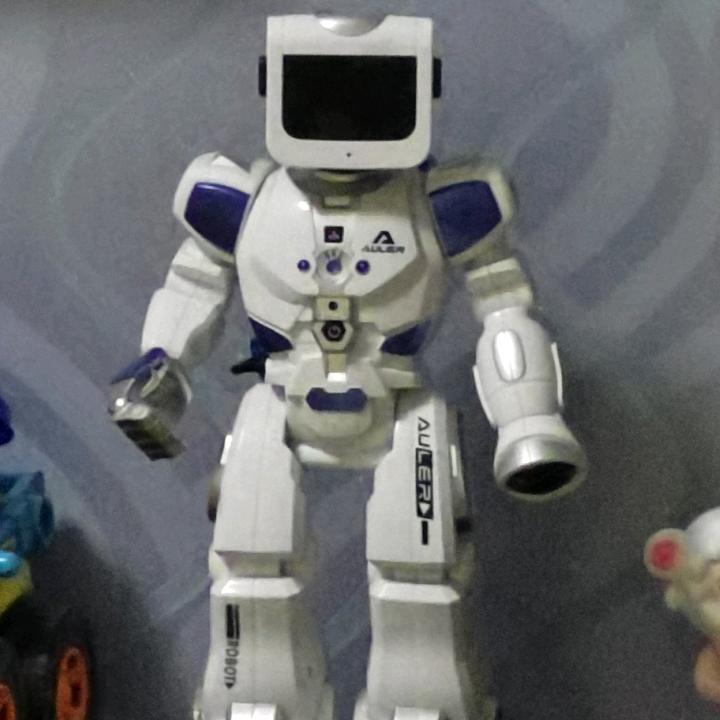 毛冬