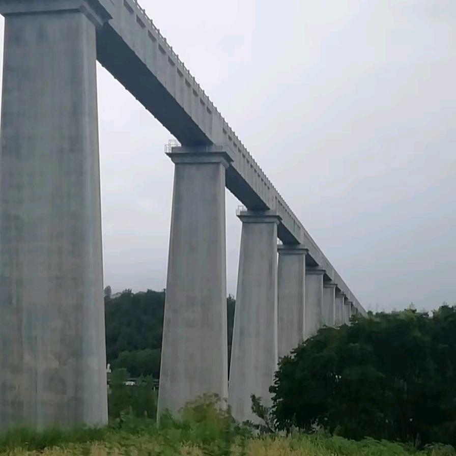 天之骄子