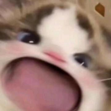 就叫鼬吧