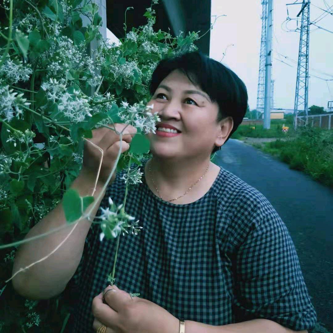 开心果果