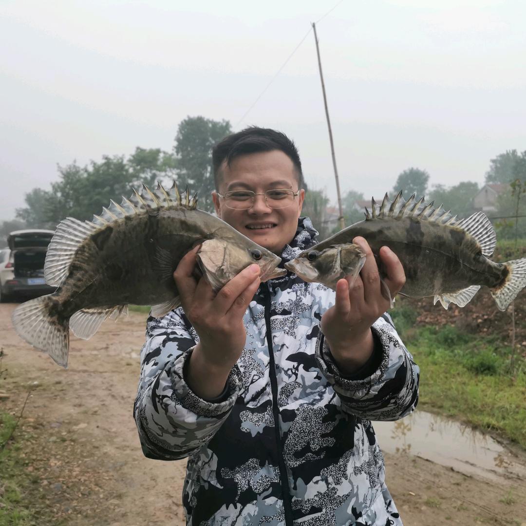 强⚡️哥剧场