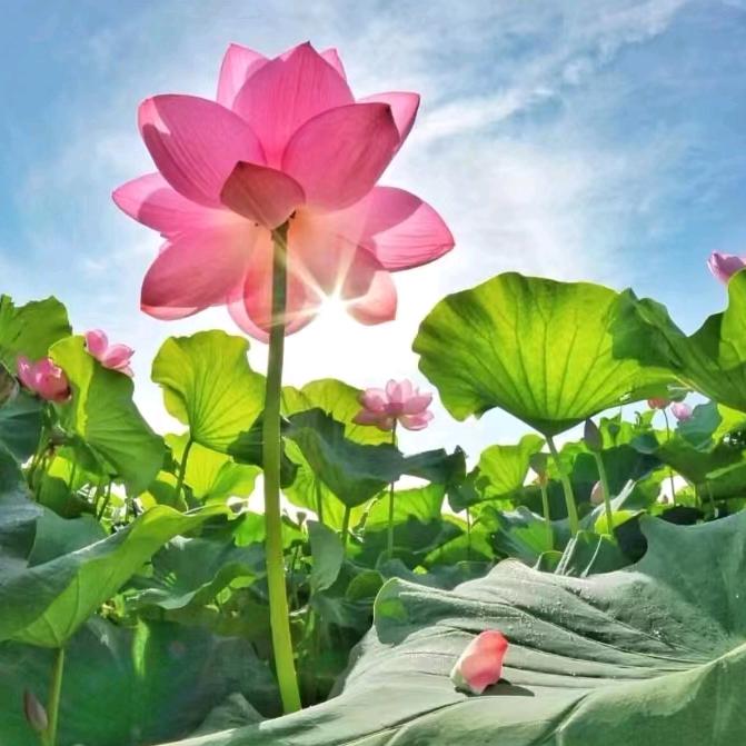 好人有好报