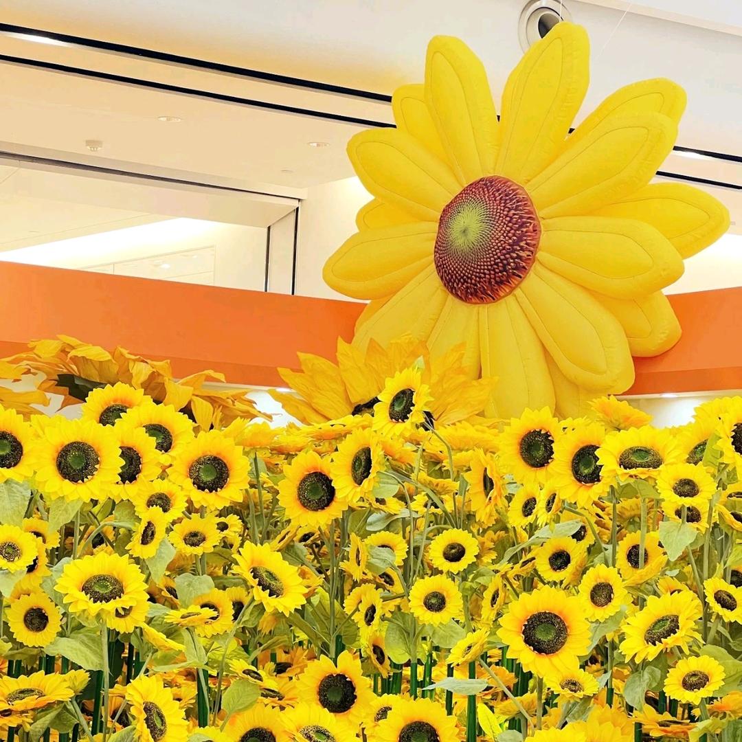 印象荟软装美陈