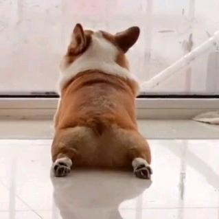 善于动粗的靓仔