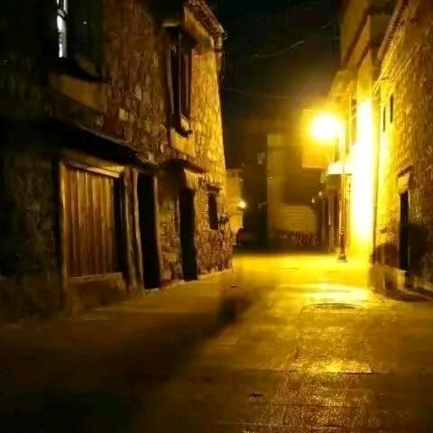 夜烁
