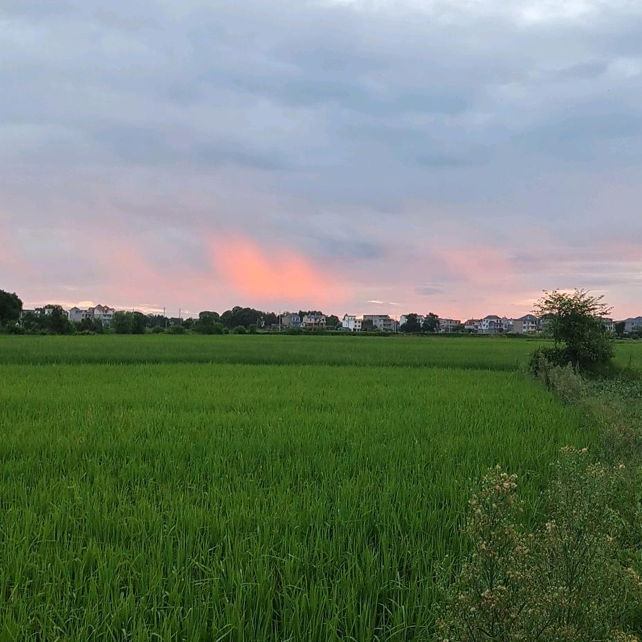 波阳县，人民族