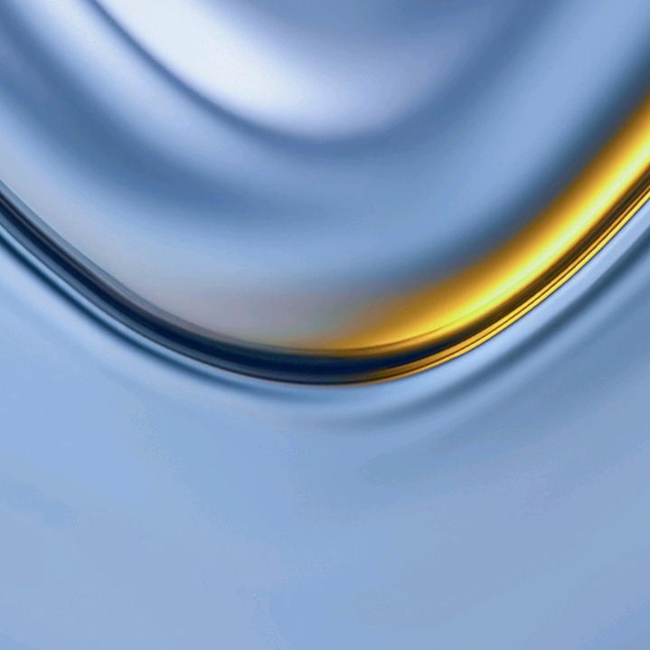 胖胖熊