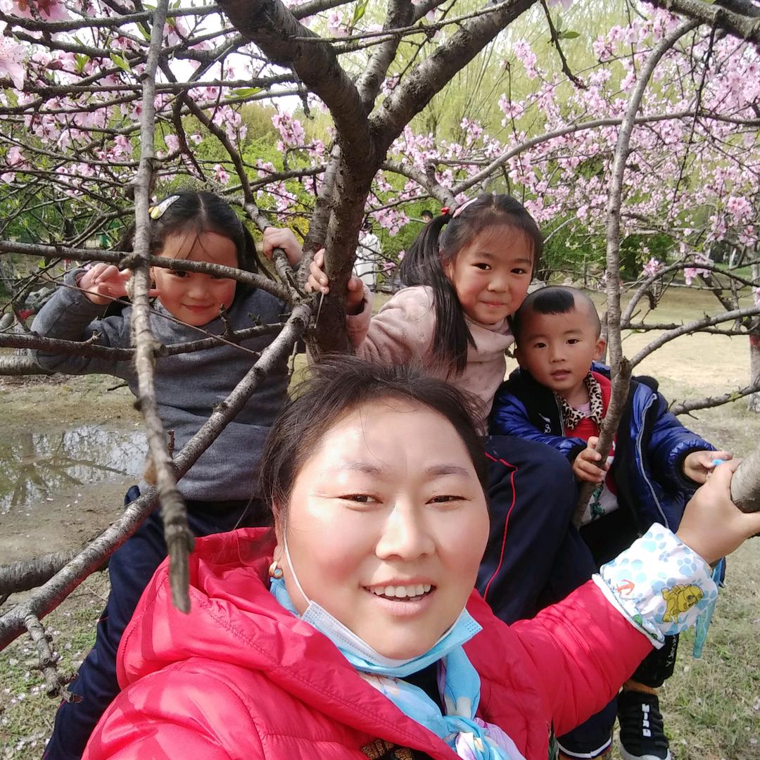 顺其自然，花开花落