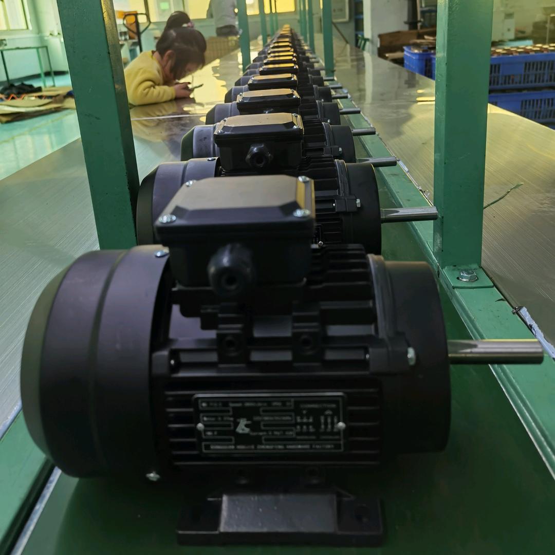 中山市台风电器有限公司