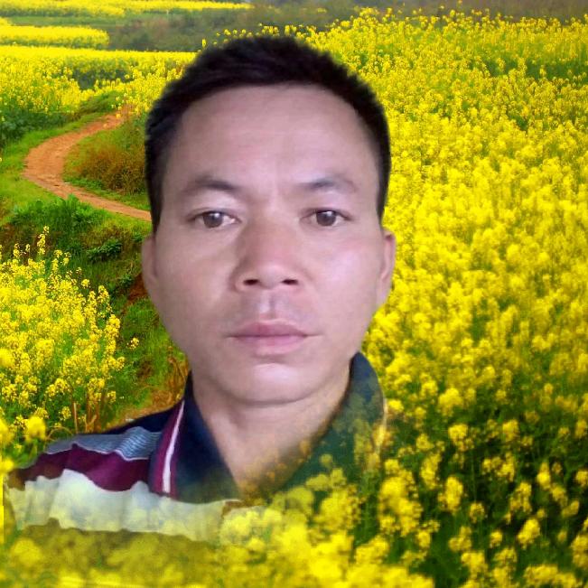 网络歌手