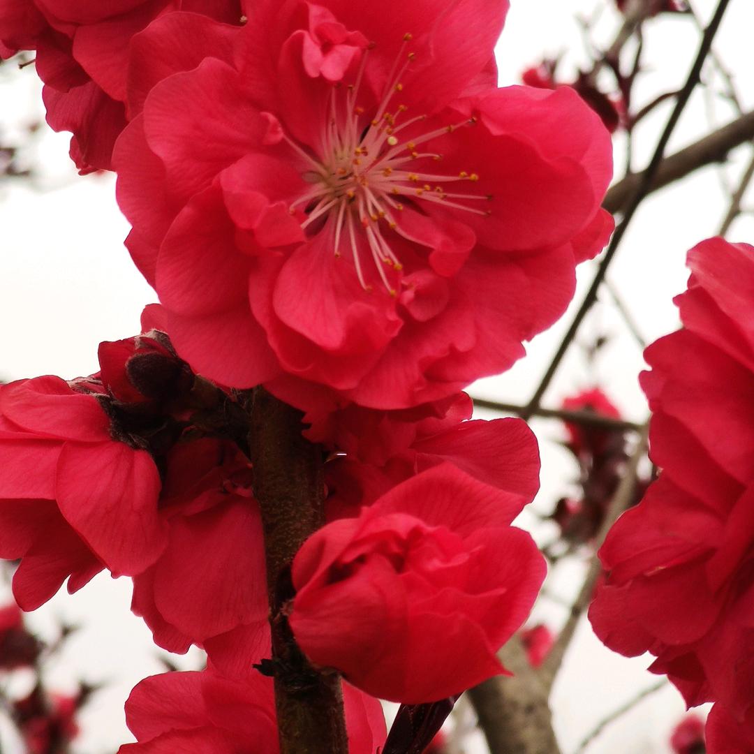 永。。。。。。