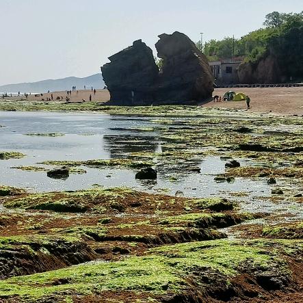 行看流水坐看云