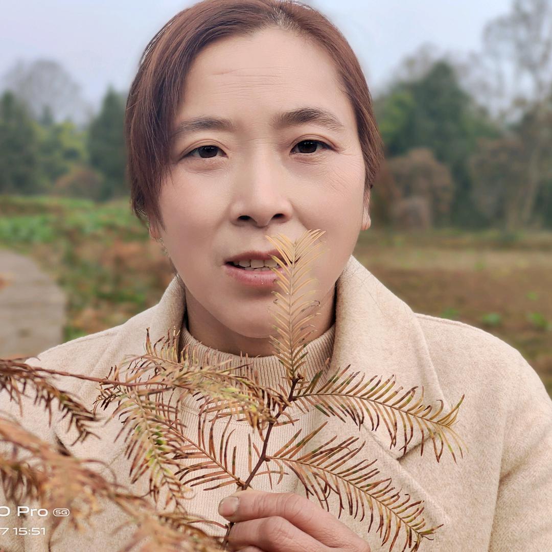 邓妹开播不定时间