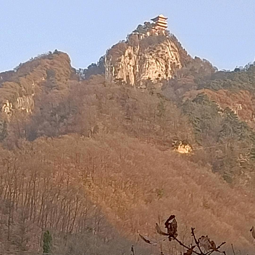 瑾晨