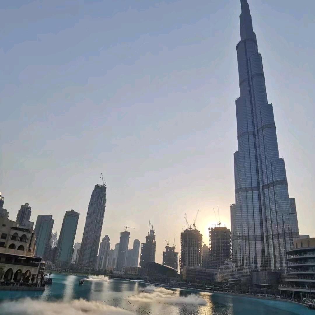 演出𝑳𝒊𝒗𝒆