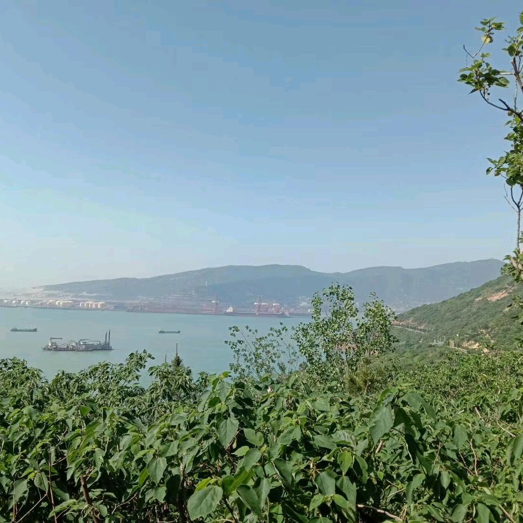 十万个为什么