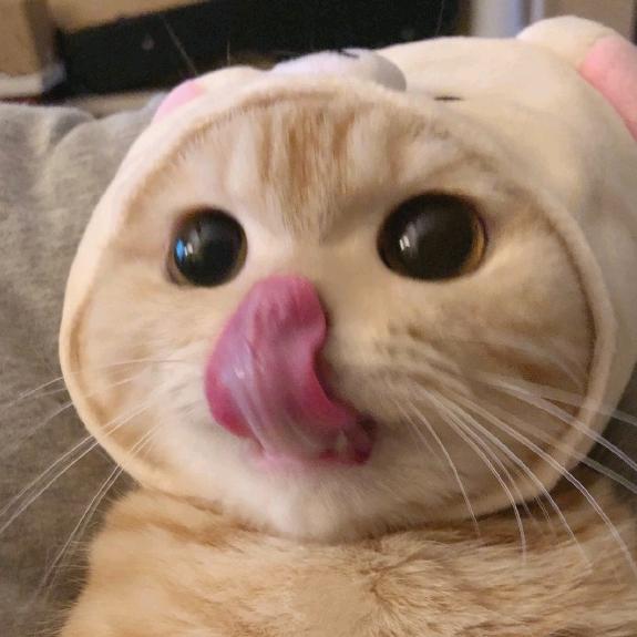 肖寒梅